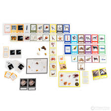 Image result for Phyla