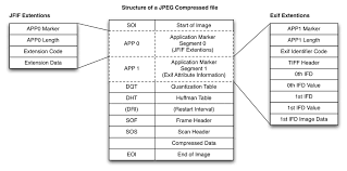 Representation Of The Jfif And Exif Segments 1 5 Download Scientific Diagram