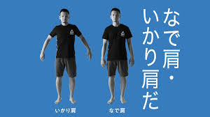 いかり肩