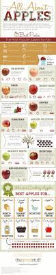 All About Apples Best Types Of Apples For Your Recipes Coupons Com Food Apple Recipes Cooking