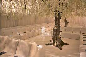 Event Props And Plants Hire Portfolio Wisteria Tree Wisteria Event Props