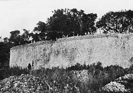 Image result for Brachyachne patentiflora