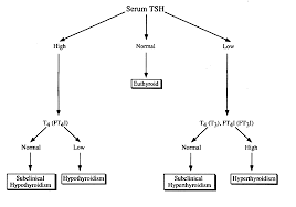 Image result for Thyroid Function Test