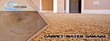 Weet carpets smell strange even after being extensively washed. Never Forget Considering Things Before You Dry The Carpet After Water Damage Total Flood Damage Melbourne