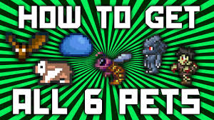 Terraria How To Get All 6 Console Pets Werewolf Tiphia Zombie Guinea Pig Bat Slime Demizegg Youtube