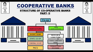 Rural coop banks account for 67% of the total asset and 67% of total branches of all cooperative. Difference Between Commercial Banks And Cooperative Banks In India Youtube