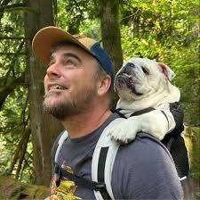 Snohomish River pink salmon season dates