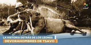 La primera noche en tsavo, al sur de kenia, montamos las tiendas sobre la tierra roja, y de inmediato se nos ofrecieron unos nativos armados con viejos rifles para vigilar el campamento a cambio de una propina. Telesur Tv On Twitter Es Importante Recordar Que Durante 9 Meses Dos Leones Devoraron Y Mataron A Empleados Del Ferrocarril De Uganda Ambos Acechaban A Mitad De La Noche Y Arrastraban Afuera