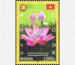 Flowering Plant Sampaguita Flower Flora Flowering Plant Png Pngwing Découvrez tout ce que jay sampaguita (jaysampaguita) a découvert sur pinterest, la plus grande collection d'idées au monde. pngwing