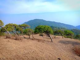 ကွီတမော့