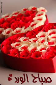 للورد لغته المميزة good morning wishes good morning good night good night messages