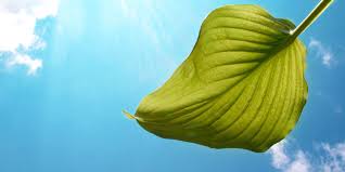 Официален сайт на d&p perfumum bulgaria. Dp Cleantech Co Ltd Linkedin