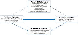 Study Protocol To Investigate Biomolecular Muscle Profile As Predictors Of Long Term Urinary Incontinence In Women With Gestational Diabetes Mellitus Springerlink