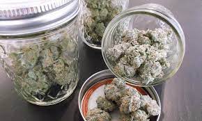 Factors That Impact Your Cannabis Strain: Part 5, The Curing Process |  Leafly