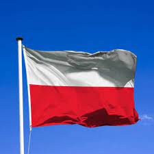 Soyez fier de vous procurer un drapeau pologne pour représenter votre belle nation ! Drapeau De Pologne