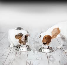 We still have those same midwestern values that grandpa nunn had back in 1926! Midwestern Pet Foods