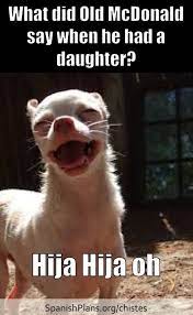 Chistes For Spanish Class Funny Spanish Jokes Funny Spanish Memes Spanish Humor