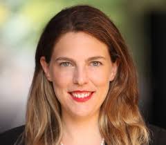 NSF Institute for Artificial Intelligence and Fundamental Interactions  (IAIFI)