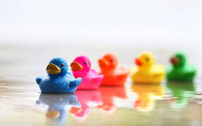 Gambar ini ku buat dgn maksut yang jelas tapi kalo di lihat sekilas gk jelas. Lucu Bebek Berwarna Warni Mainan Bebek Biru Lucu Berwarna Warni Bebek Wallpaper Hd Wallpaperbetter