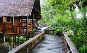 Puntondo menurut cerita berasal dari kata makassar kondo atau burung bangau. Asyiknya Belajar Destilasi Air Laut Hingga Energi Terbarukan Di Pplh Puntondo Takalar Mongabay Co Id