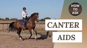 Try These Exercises To Bounce Less When Riding And To Follow The Horse´S  Movement! (Dressage Seat) - Youtube