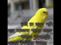 More albums by this artist. Download Shei Je Holud Pakhi 3gp Mp4 Codedwap