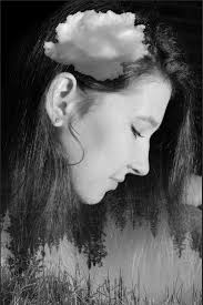 Thoughts — Swallowtail