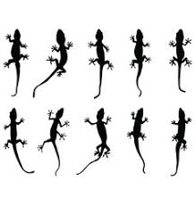 Colorful abstract decorative tattoo style gecko lizards, assembled to compose a perfect. Gecko Tattoo Vector Images Over 990