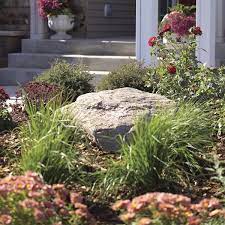 Pin On Gardening