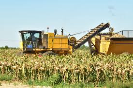 As Teens Wait For Work, Ag Firms Turn To Guest Workers To Tend To Midwest  Cornfields | Kcur - Kansas City News And Npr