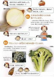 食べているのはどの部分 やさいのひみつ