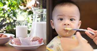 We did not find results for: Protein Hewani Untuk Mpasi Penting Untuk Cegah Stunting Pada Anak