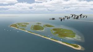 Dieren die naar de marker wadden komen zijn. Zijn De Marker Wadden Echt Een Nieuw Natuurparadijs Nieuwsuur
