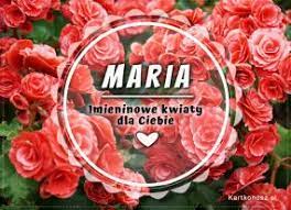Imieniny marty celebruje się 19 stycznia, 22 lutego, 23 lutego, 18 marca, 21 czerwca, 5 lipca, 29 lipca oraz 19 września. Imieniny Marii Darmowe Kartki Dla Marii Zyczenia I Kartki Za Darmo