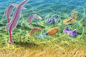 Ediacaran Animals And Fossils With Images Prehistoric Animals Weird Animals Melbourne Museum