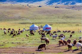 呼伦贝尔城市一朵云守护城市生命线-内蒙古新闻-中国新闻网