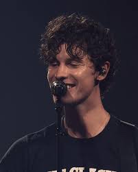 What a fanart of @camila_cabello by @mediocr.e.dits ig : @xVampQx ❤️🌹🎸  But, the Cinderella ( 2021) is also shut down 😕 Hope everything will get  better . #staysafe #staystrong #stayhome #stayhealthy #camilacabello #