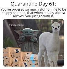 Baby Yoda Yoda Funny Funny Memes Happy Memes