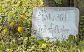 Pin Auf Garten Deko