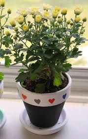 That way, if the plant needs repotting or soemthing else doing to it, i can separate the painted plant pot without getting it super dirty or super wet! 42 Painted Flower Pots Guide Patterns