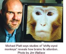 Shifty-eyed" Monkeys Offer Window Into Brain's Social Reflexes