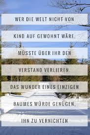Die 50 Besten Zitate Zu Den Themen Wald Und Bäume Waldzitate
