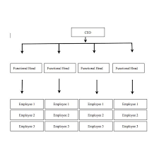 Types Of Organisational Structure Chart Types Of