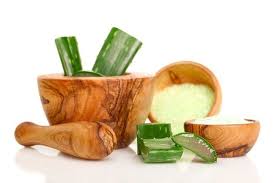 Manfaat lidah buaya untuk kesehatan & kecantikan kulit wajah telah dirasakan oleh pria dan wanita sejak dulu kala. 10 Manfaat Lidah Buaya Untuk Kesehatan Alodokter