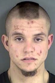 Man shoots dogs who attacked his rabbits, chickens