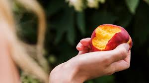 Nectarines are excellent in pies, tarts or chutney and they're delicious sliced and served over ice cream or pancakes. 7 Health Benefits Of Nectarines Backed By Science