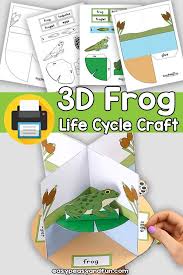 3d Life Cycle Of A Frog Craft Frog Life Cycle Craft Life Cycle Craft Frog Crafts