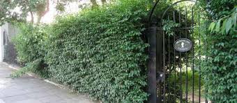 Rosmead Gardens From The Film Notting Hill Filming Locations Notting Hill Film London Films