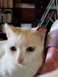 I joined this and a few support groups quite awhile ago, this place being  by far my favorite but the downside is it being public and that scares me  at times that