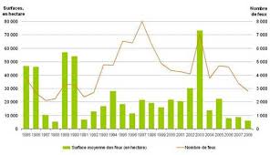 Aujourd'hui la foret a repris le dessus et le. Les Incendies De Forets En France Statistiques Nombre D Hectares De Forets Detruits Chaque Annee